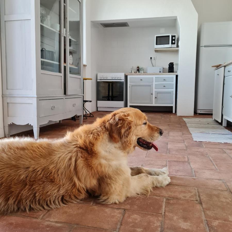 Casa Magana Em Grandola Βίλα Εξωτερικό φωτογραφία