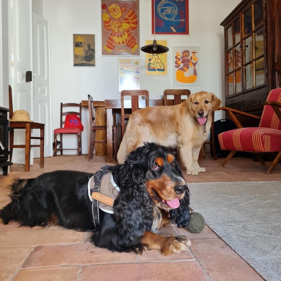 Casa Magana Em Grandola Βίλα Εξωτερικό φωτογραφία